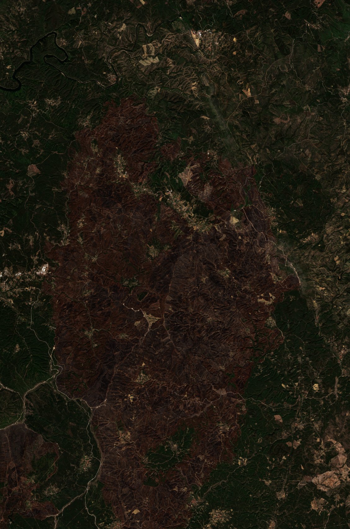 The burned area in 2020-ben