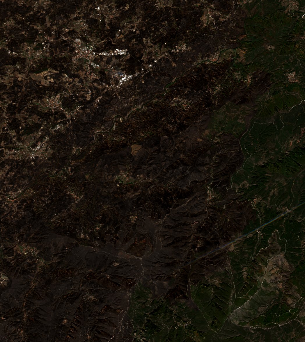The burned area in 2017-ben