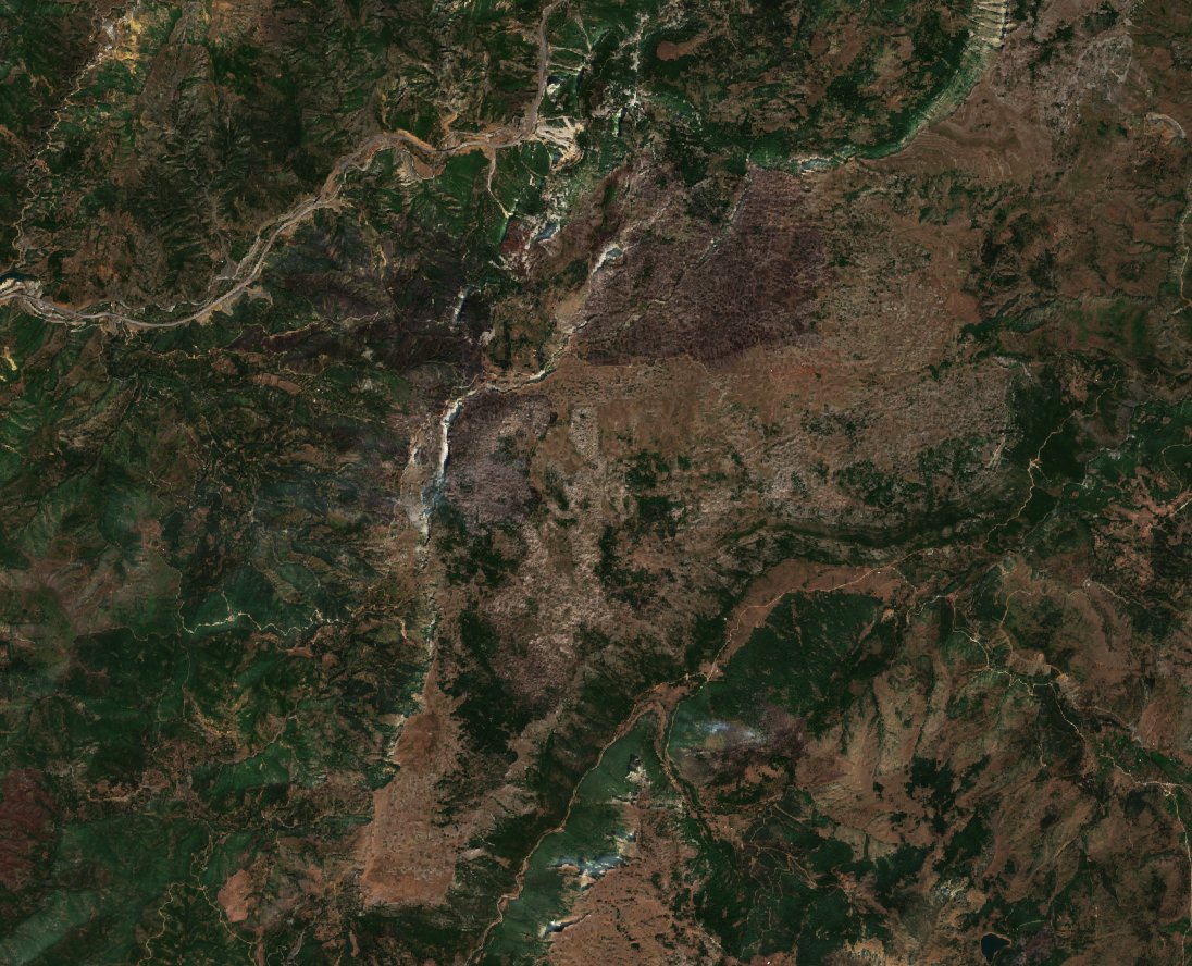 The burned area in 2017-ben