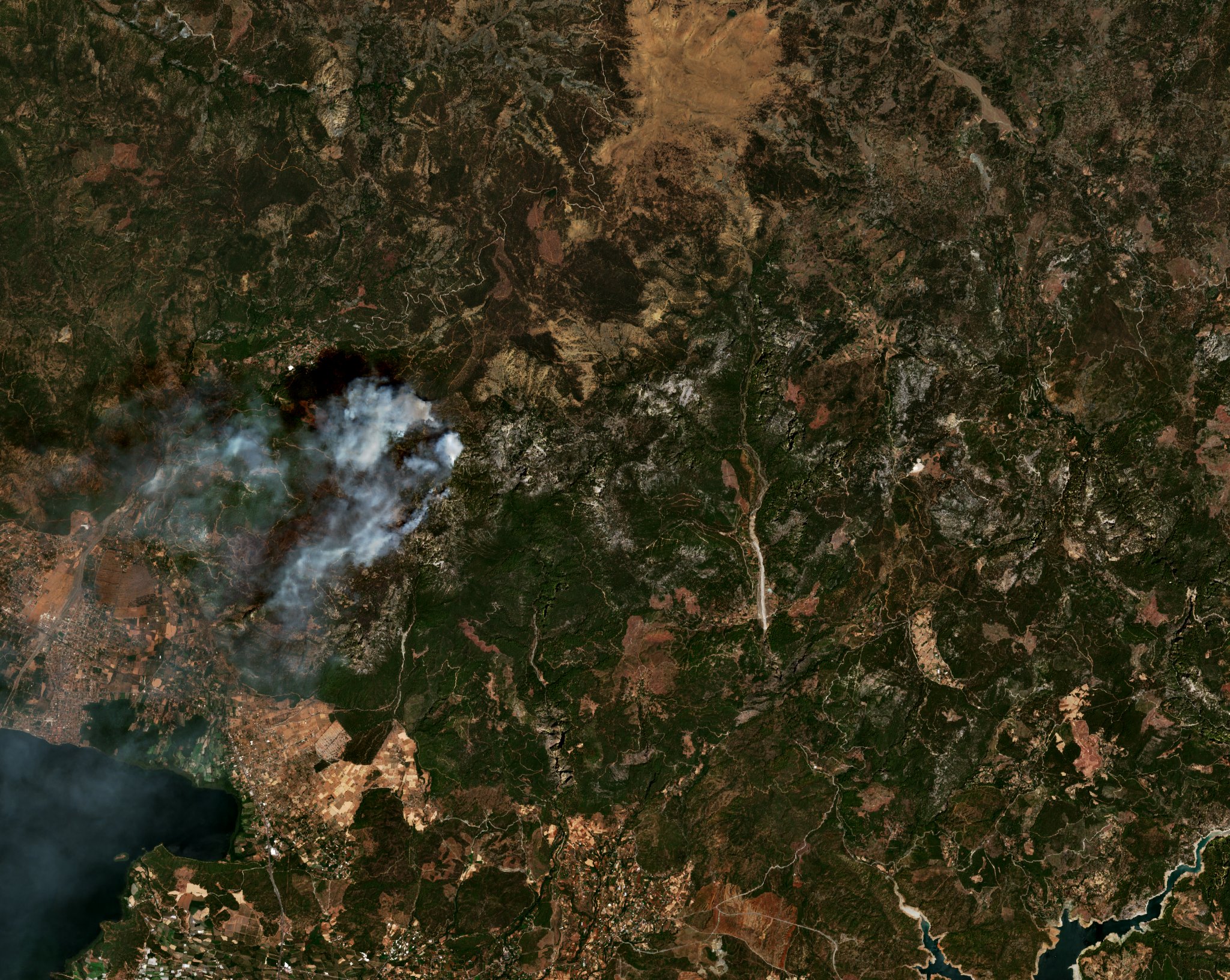 The burned area in 2021-ben