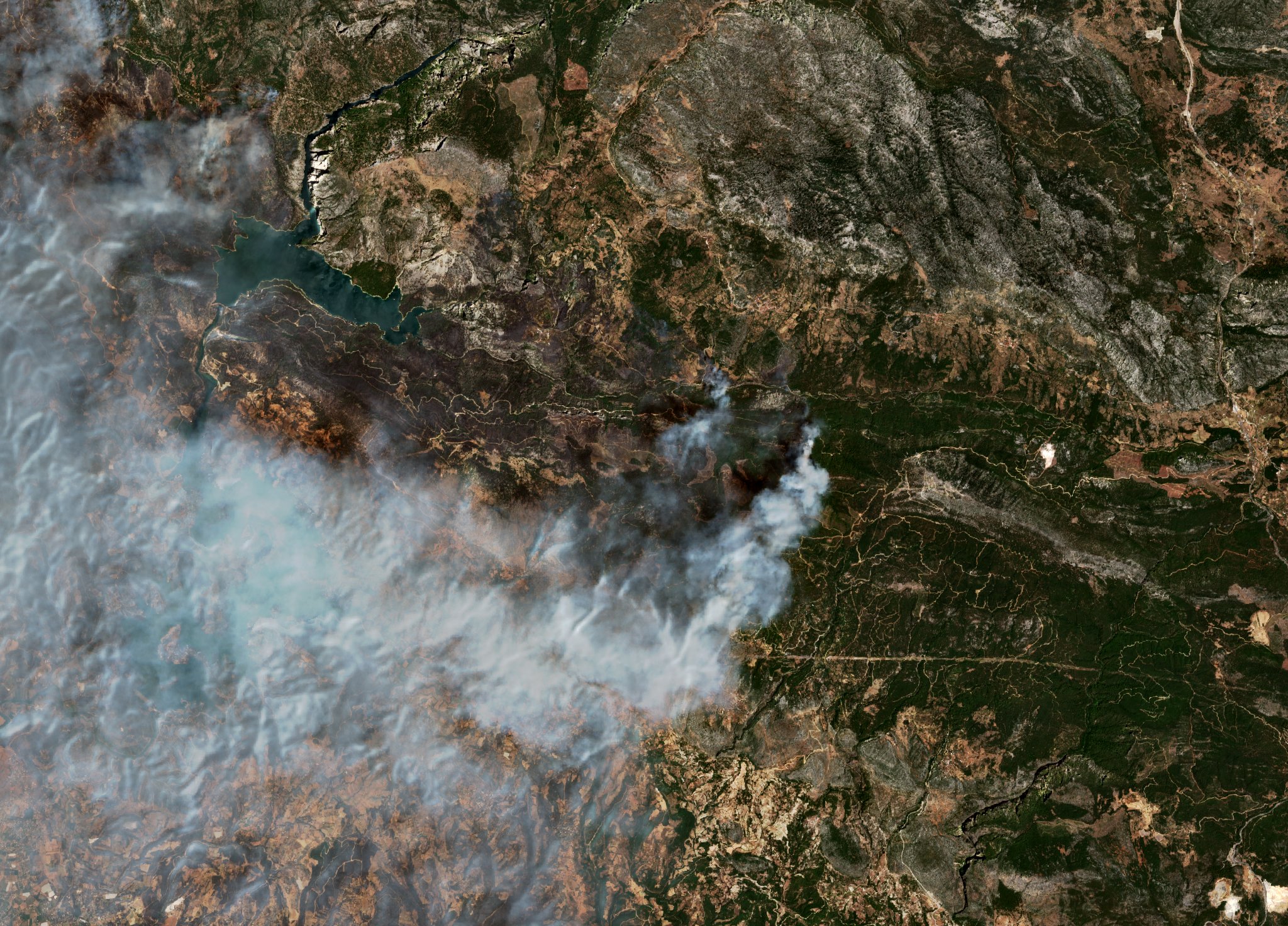 The burned area in 2021-ben
