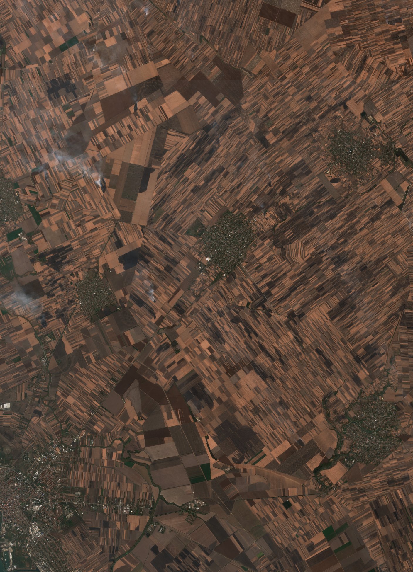 The burned area in 2019-ben