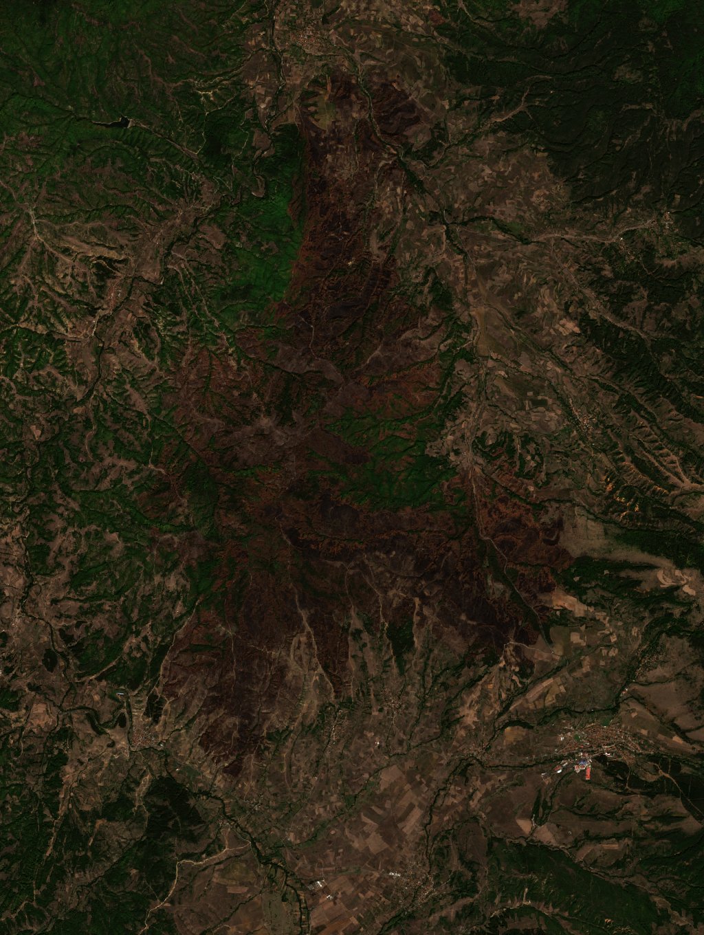 The burned area in 2021-ben