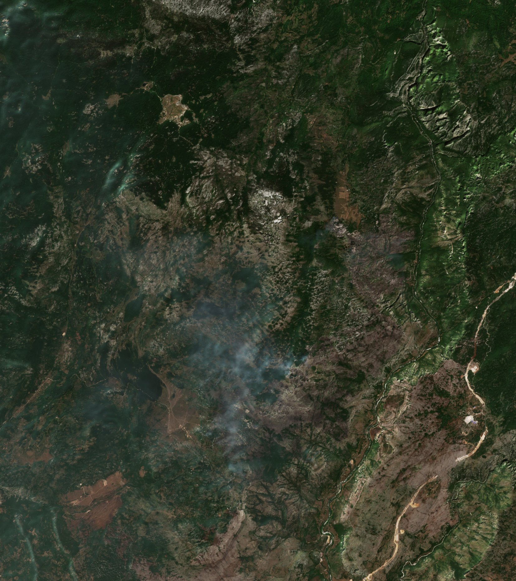 The burned area in 2017-ben