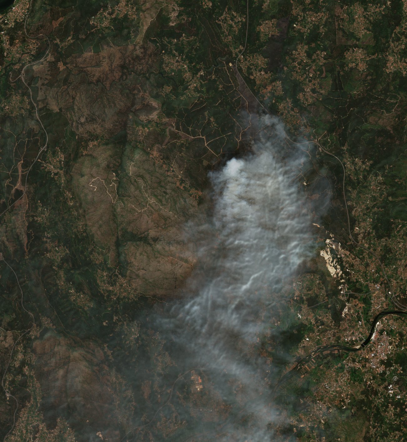The burned area in 2016-ben