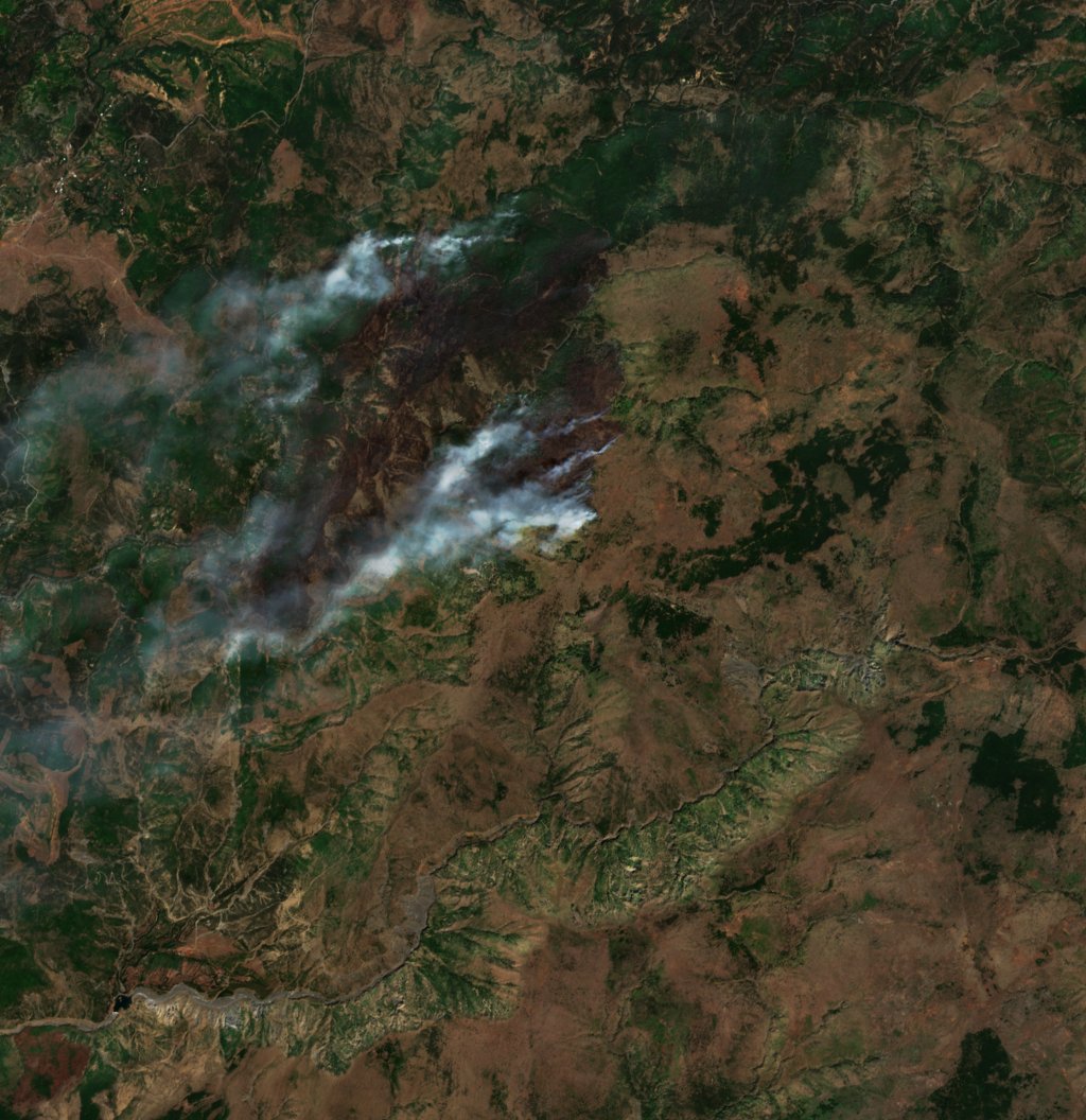 The burned area in 2021-ben