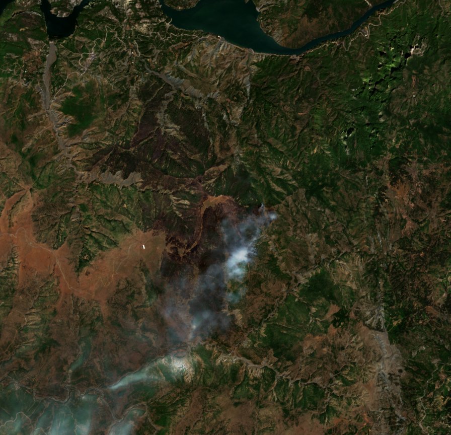 The burned area in 2017-ben