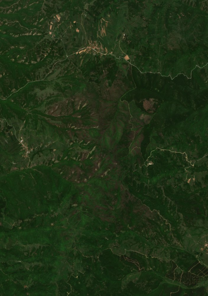 The burned area in 2019-ben