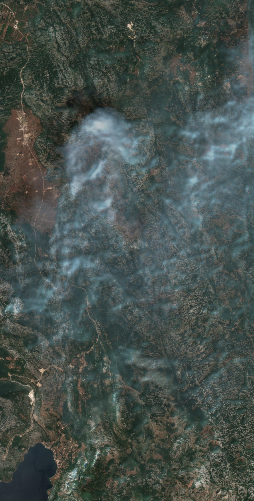 The burned area in 2021-ben