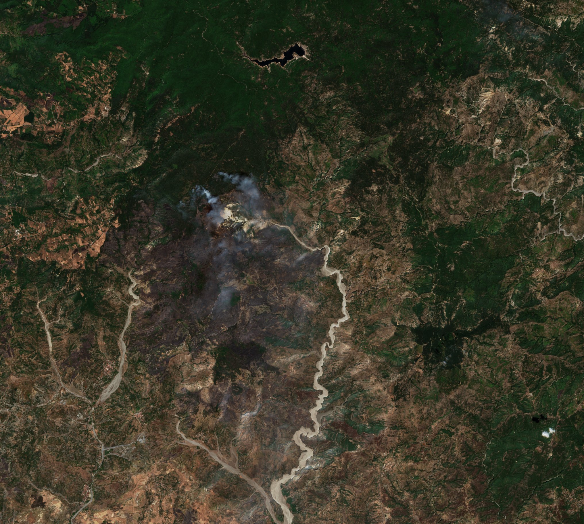 The burned area in 2021-ben