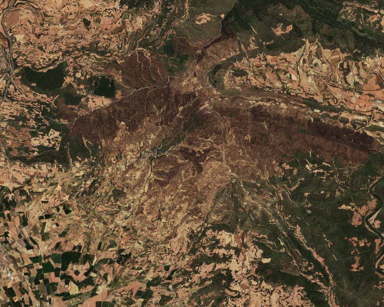 The burned area in 2022-ben