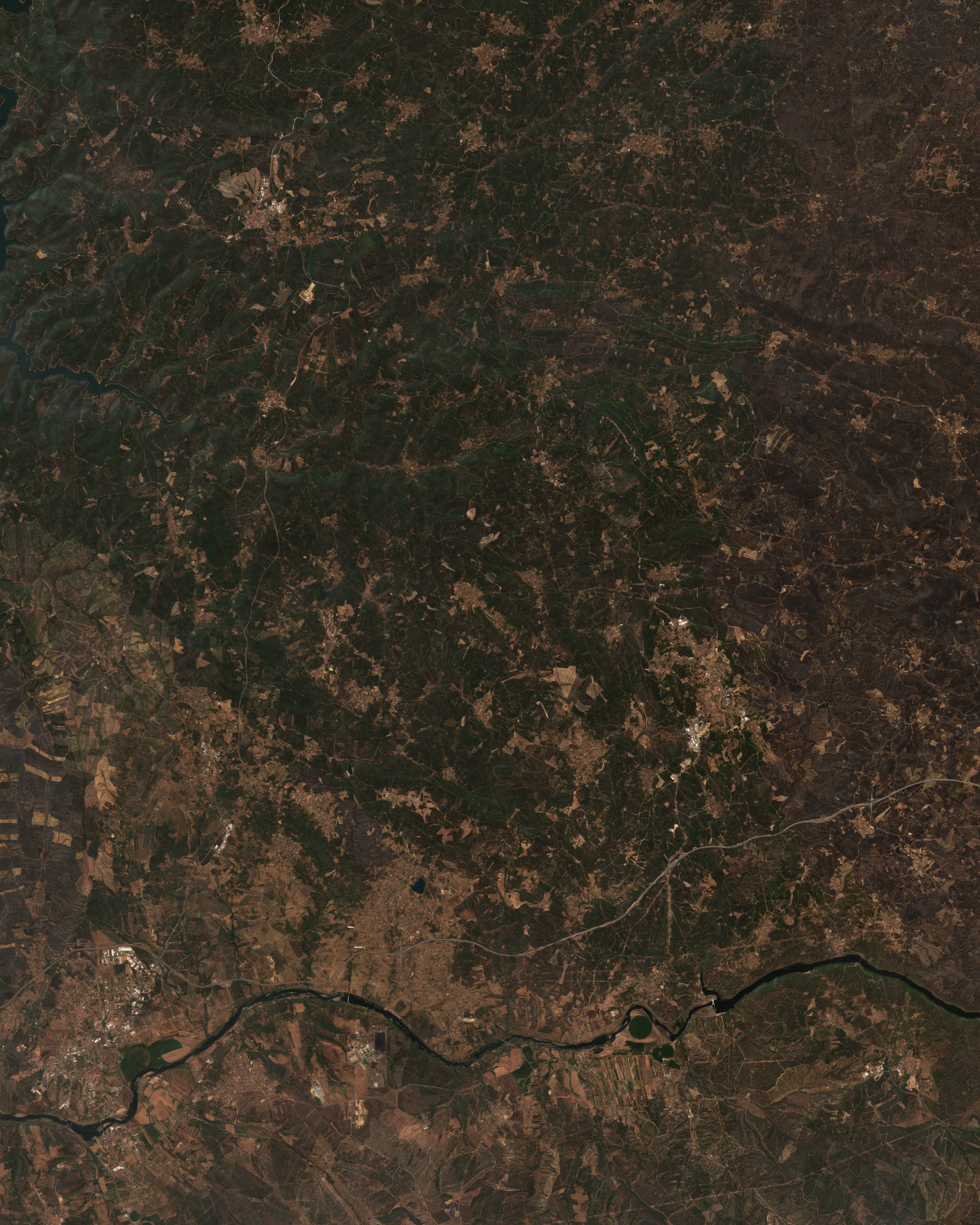 The burned area in 2017-ben