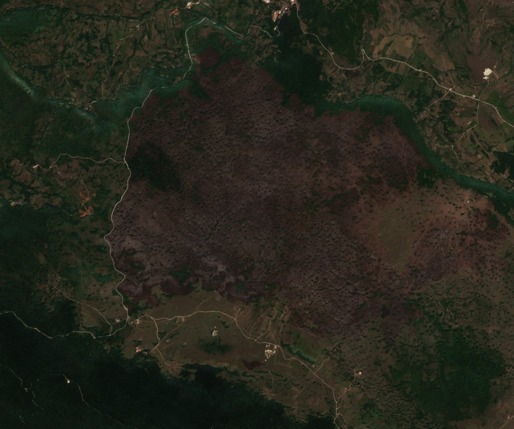 The burned area in 2017-ben