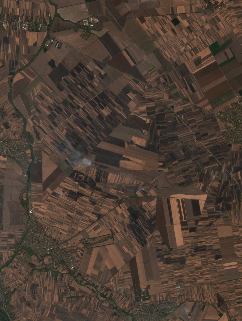 The burned area in 2019-ben