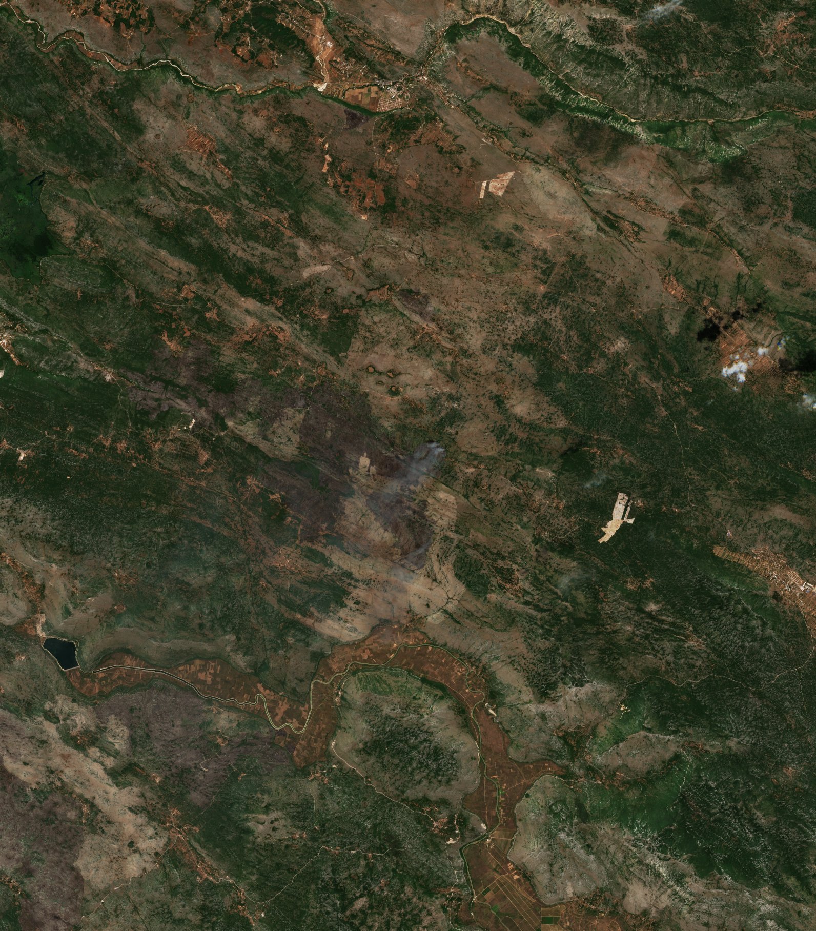 The burned area in 2017-ben