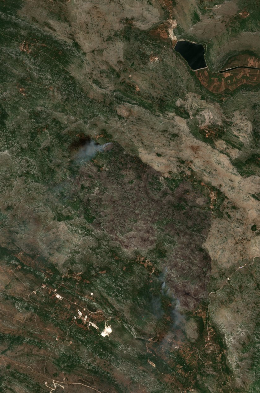 The burned area in 2017-ben