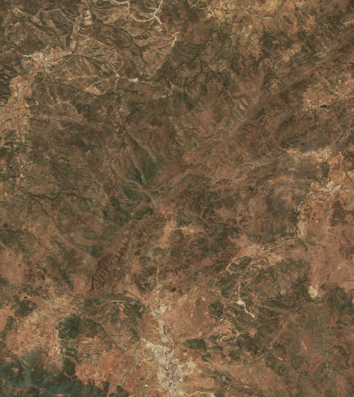 The burned area in 2019-ben