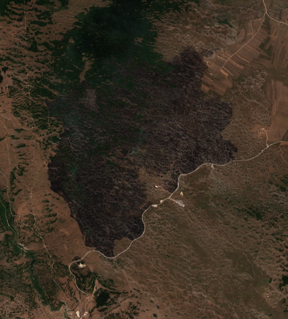 The burned area in 2017-ben
