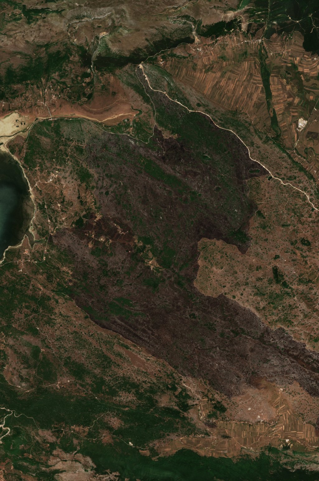 The burned area in 2021-ben