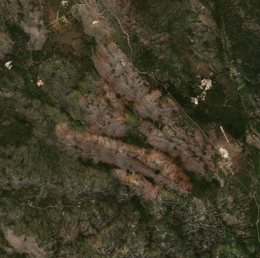 The burned area in 2021-ben
