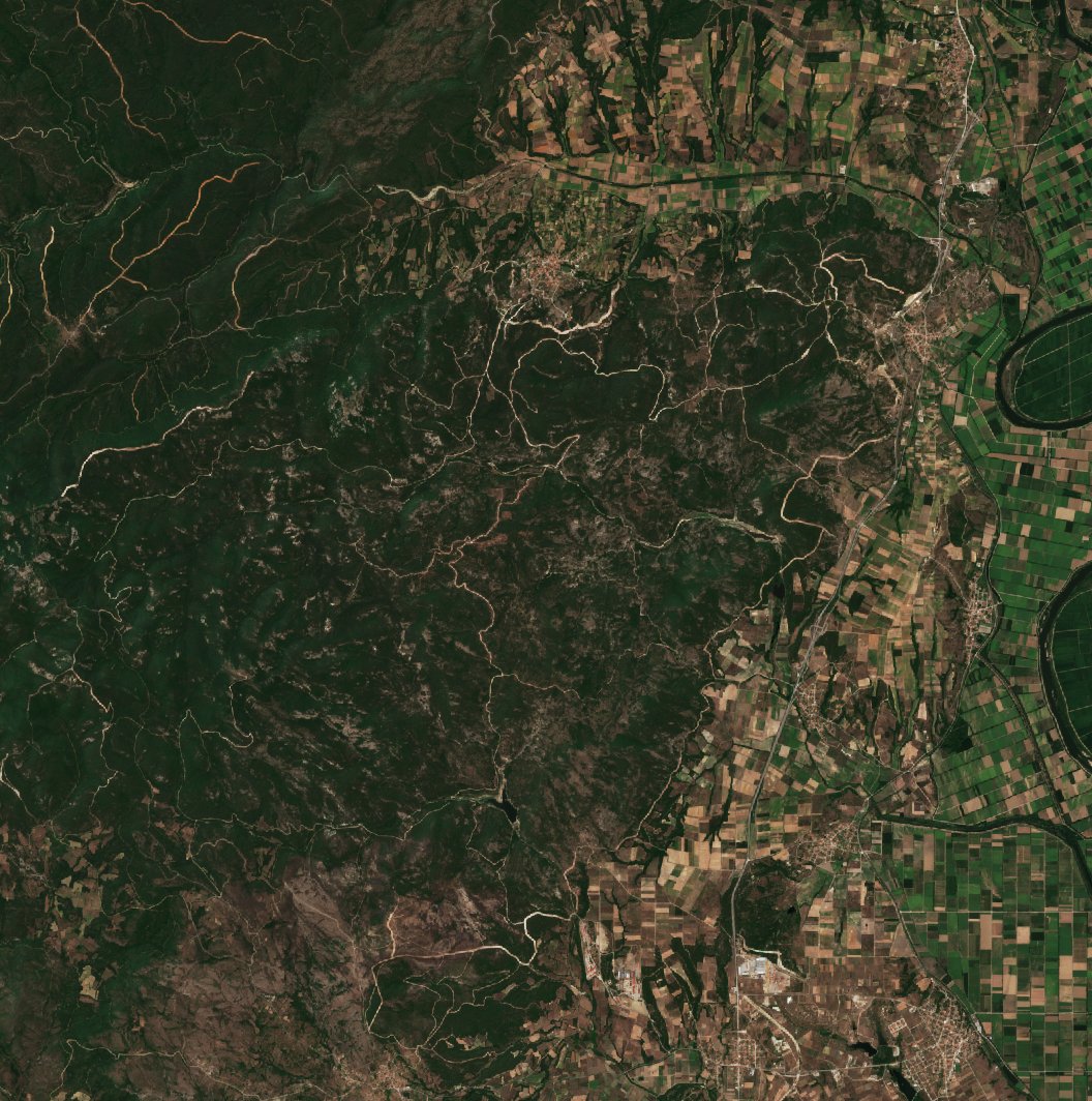 The burned area in 2022-ben