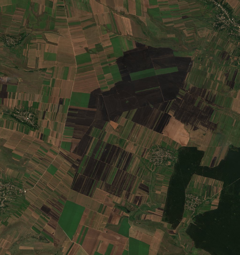 The burned area in 2016-ben