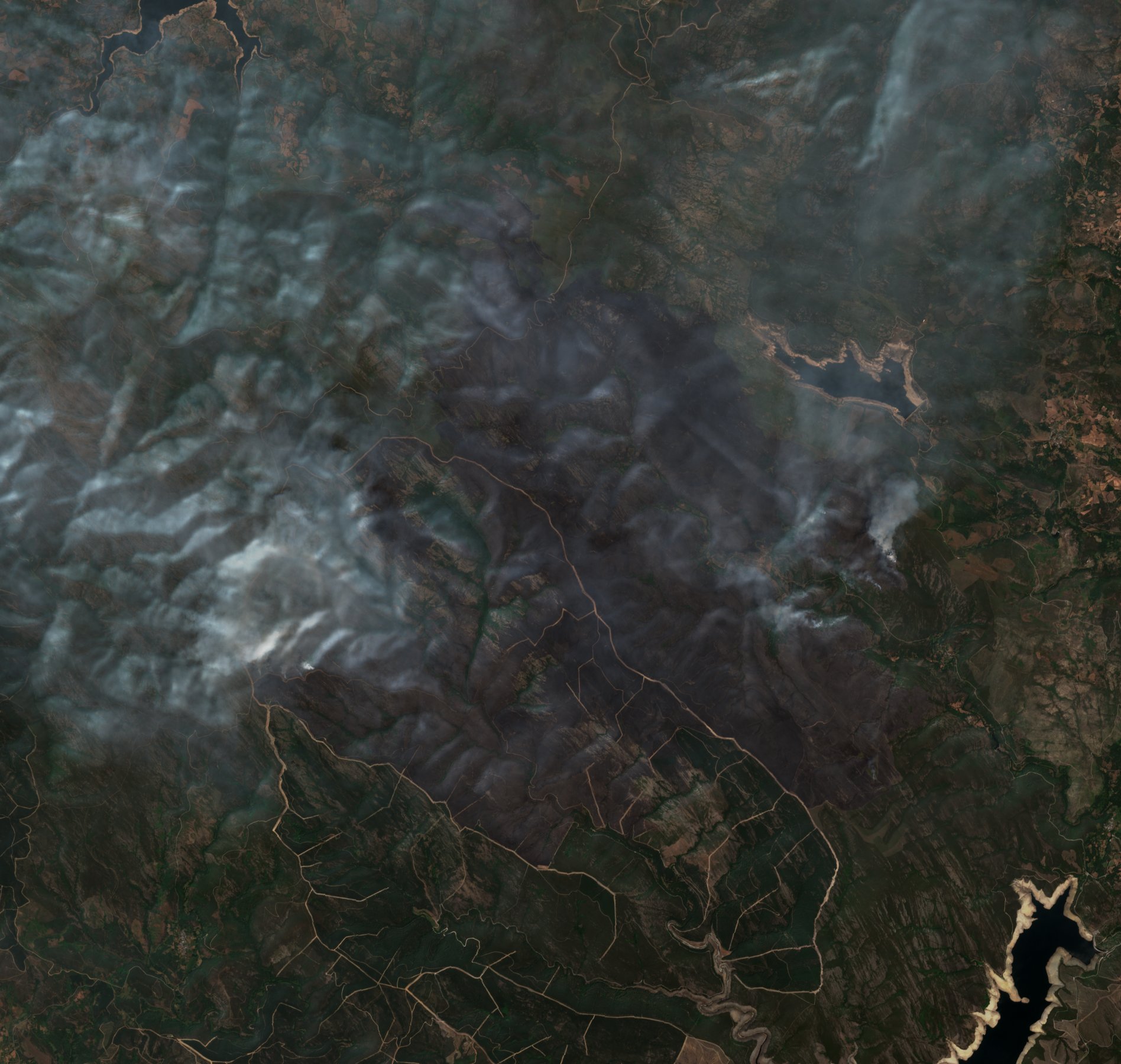 The burned area in 2022-ben