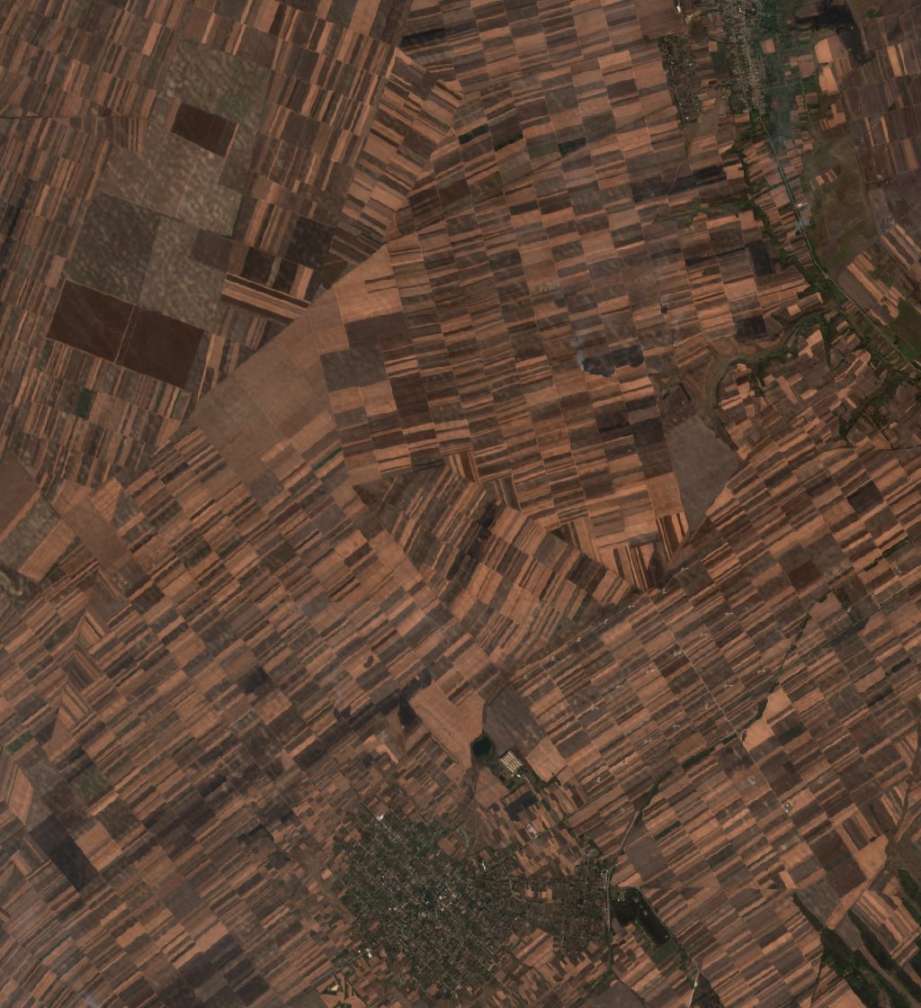 The burned area in 2019-ben