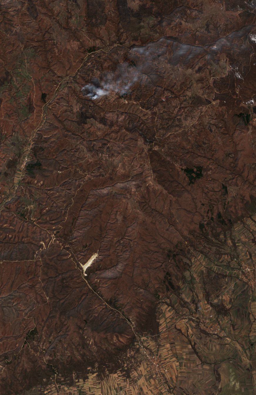 The burned area in 2019-ben