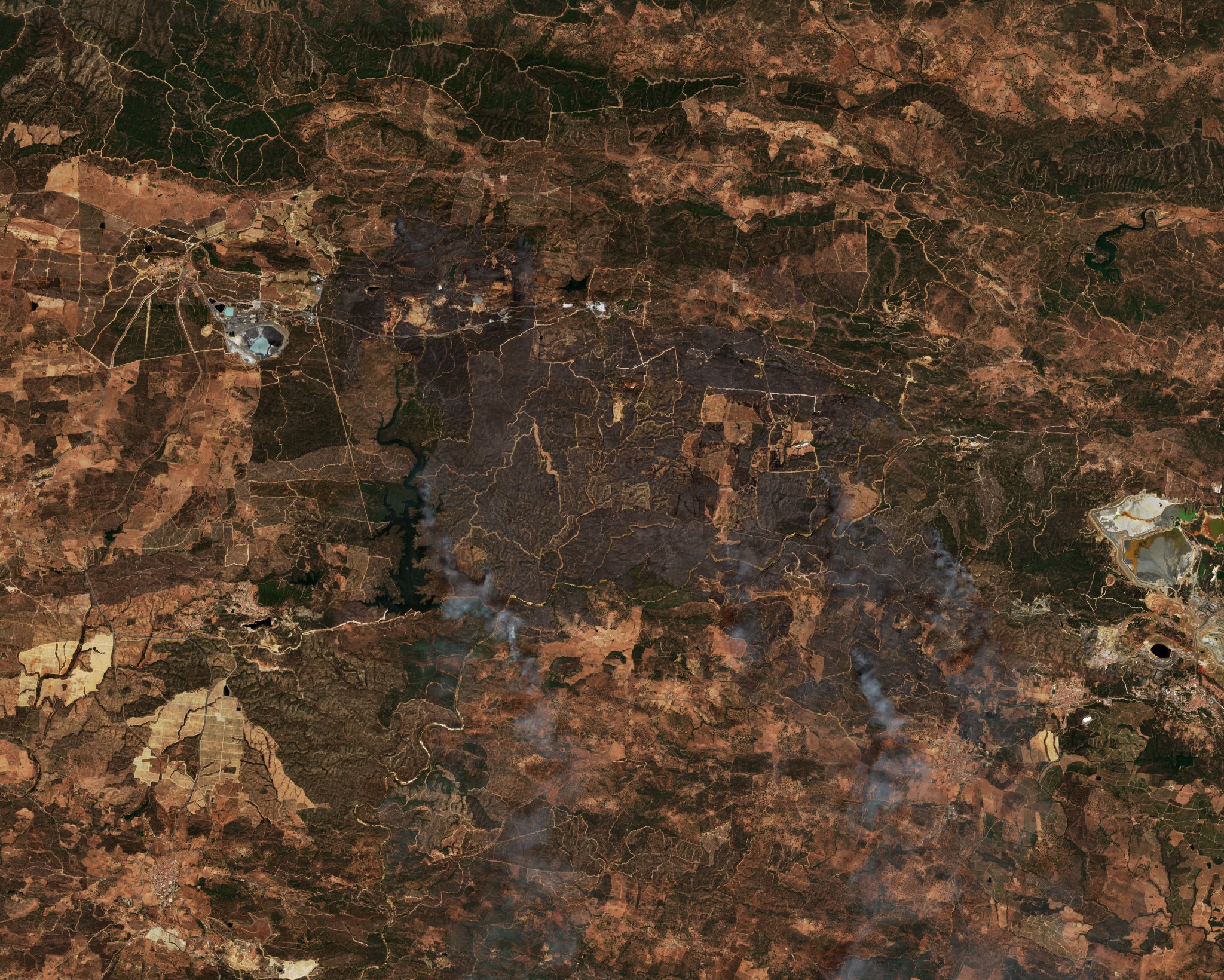 The burned area in 2020-ben