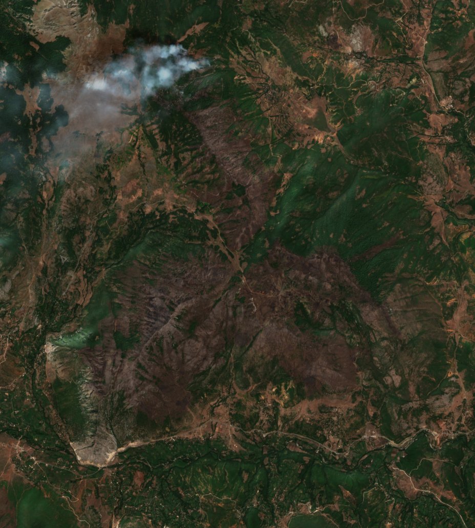 The burned area in 2017-ben