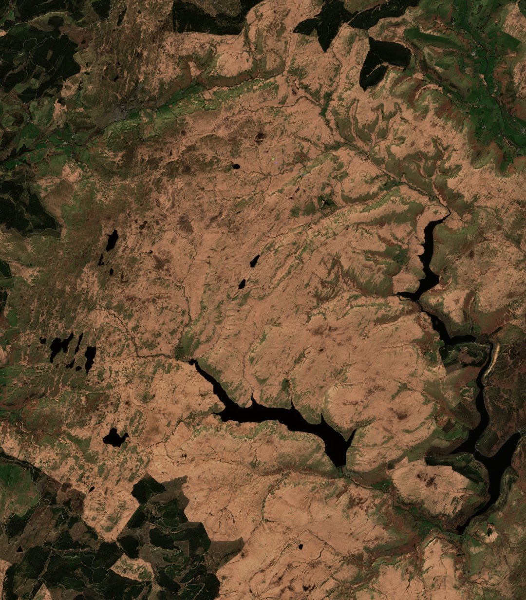 The area before the fire, April 8, 2026