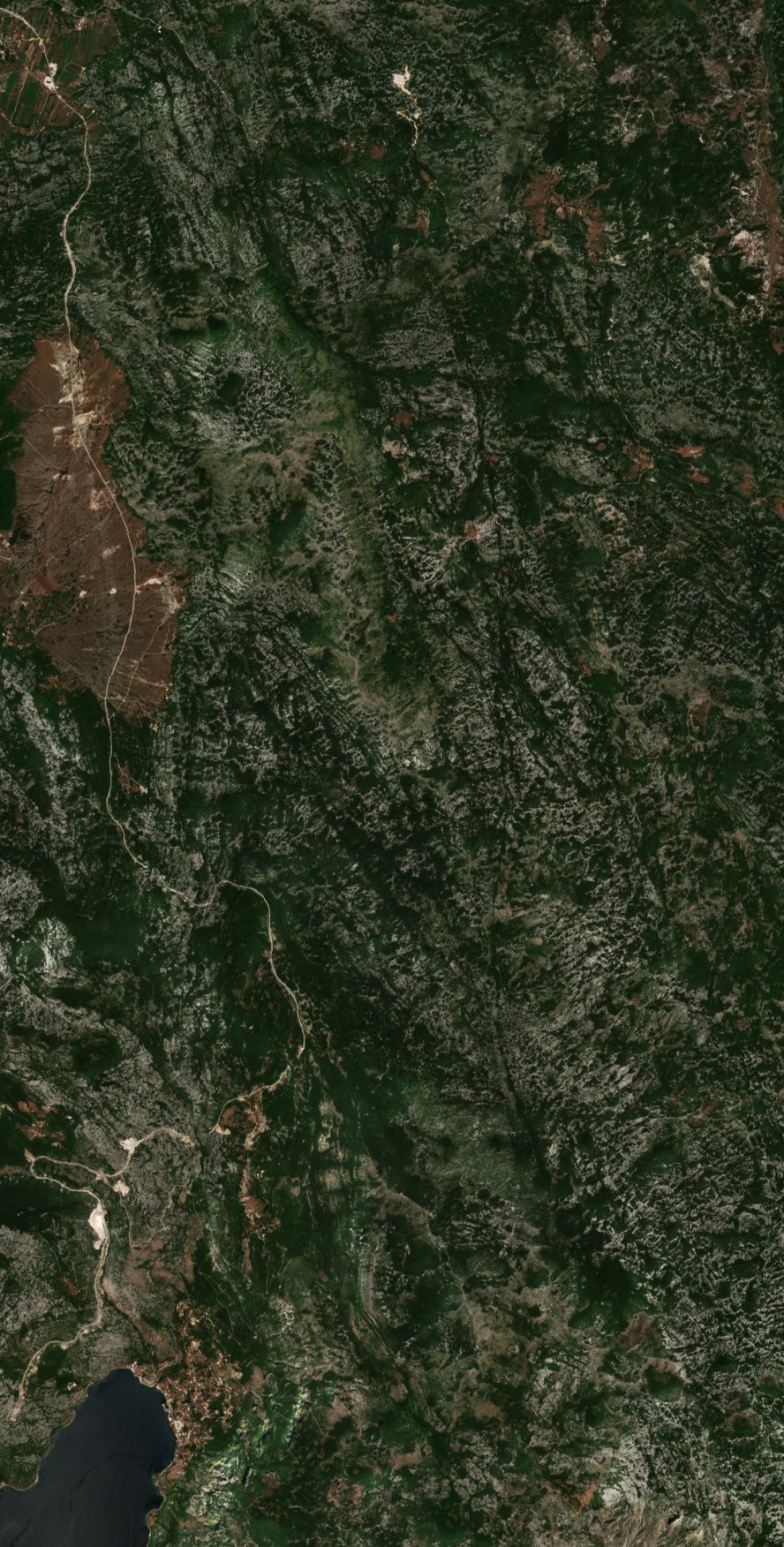 The area before the fire, July 23, 2021