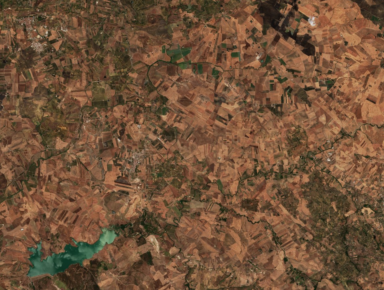Sentinel-2 images