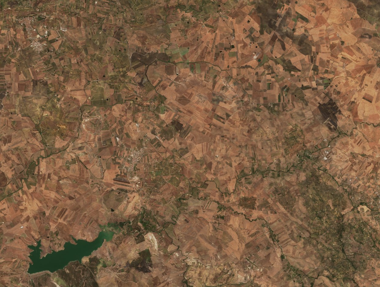 The area before the fire, August 31, 2026
