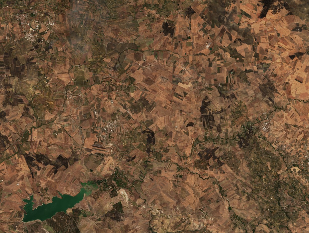 The area after the fire, September 11, 2026