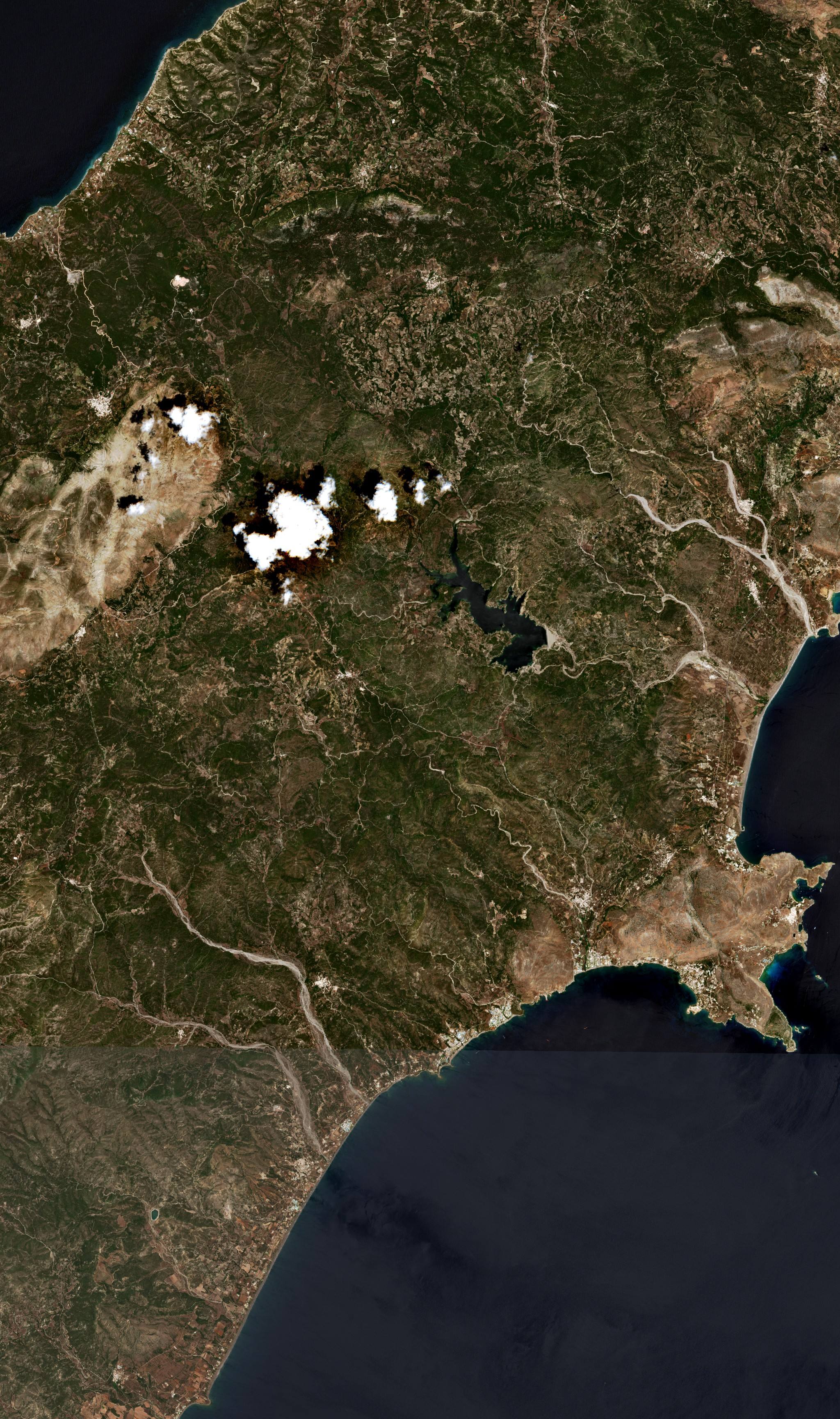 The area before the fire, June 28, 2023