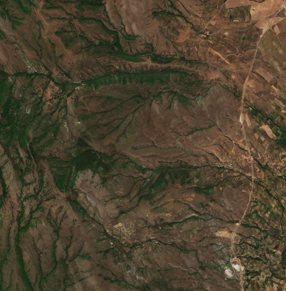 Sentinel-2 images
