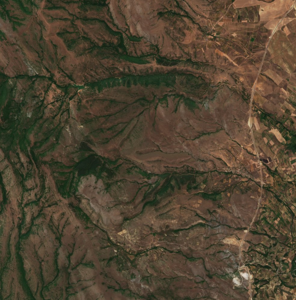 The area before the fire, July 16, 2024