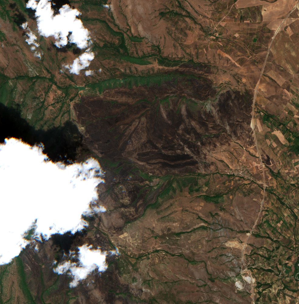 The area after the fire, July 21, 2024