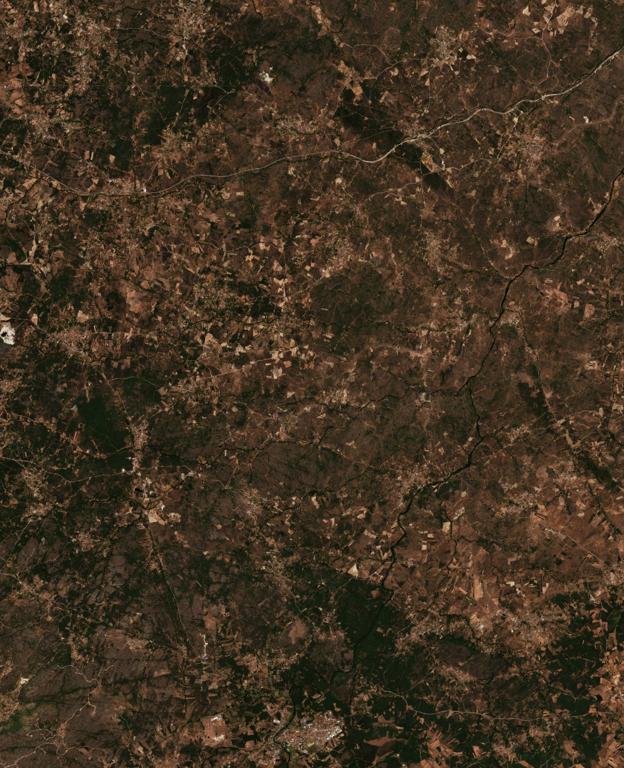 The area before the fire, August 3, 2025