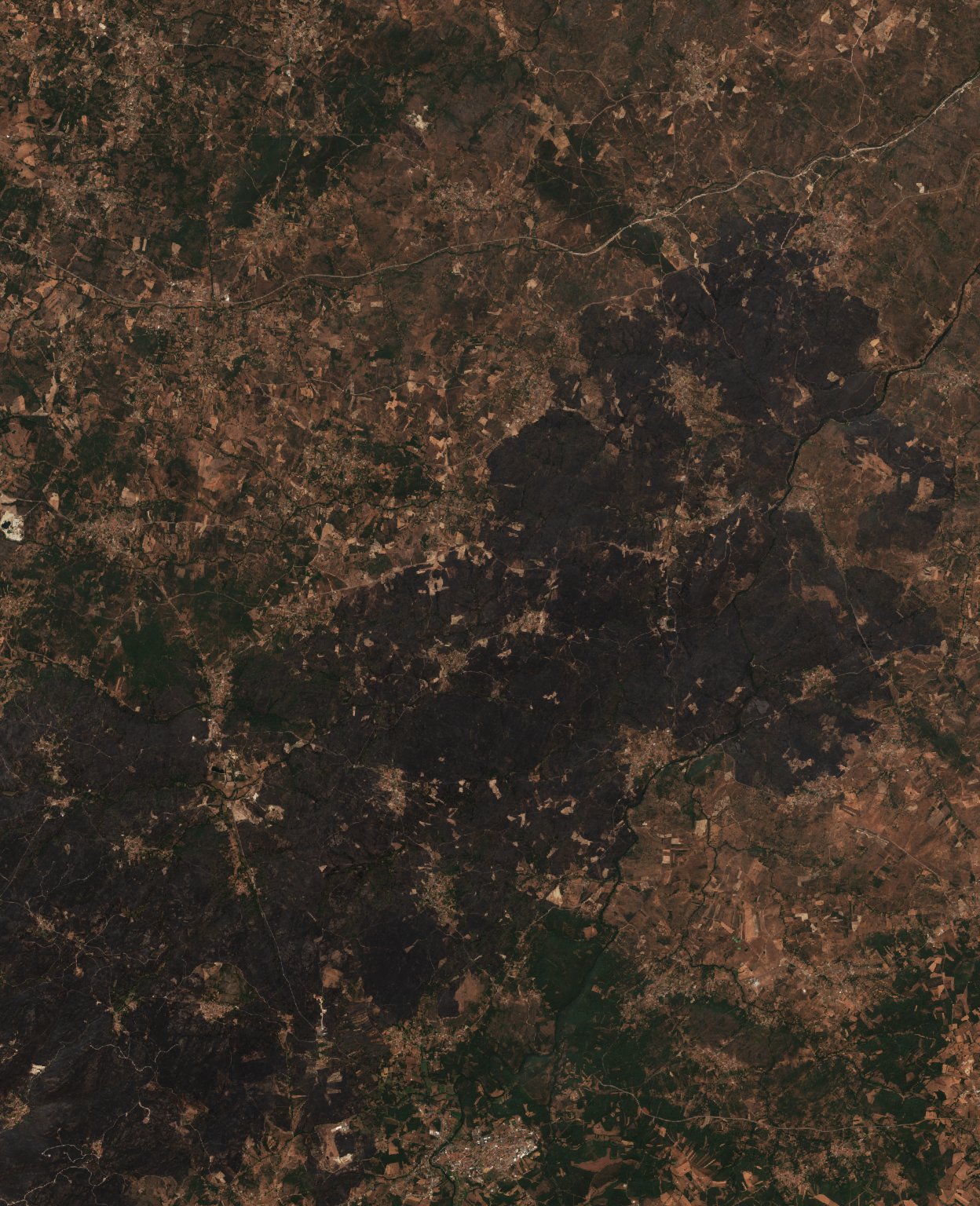 The area after the fire, August 21, 2025