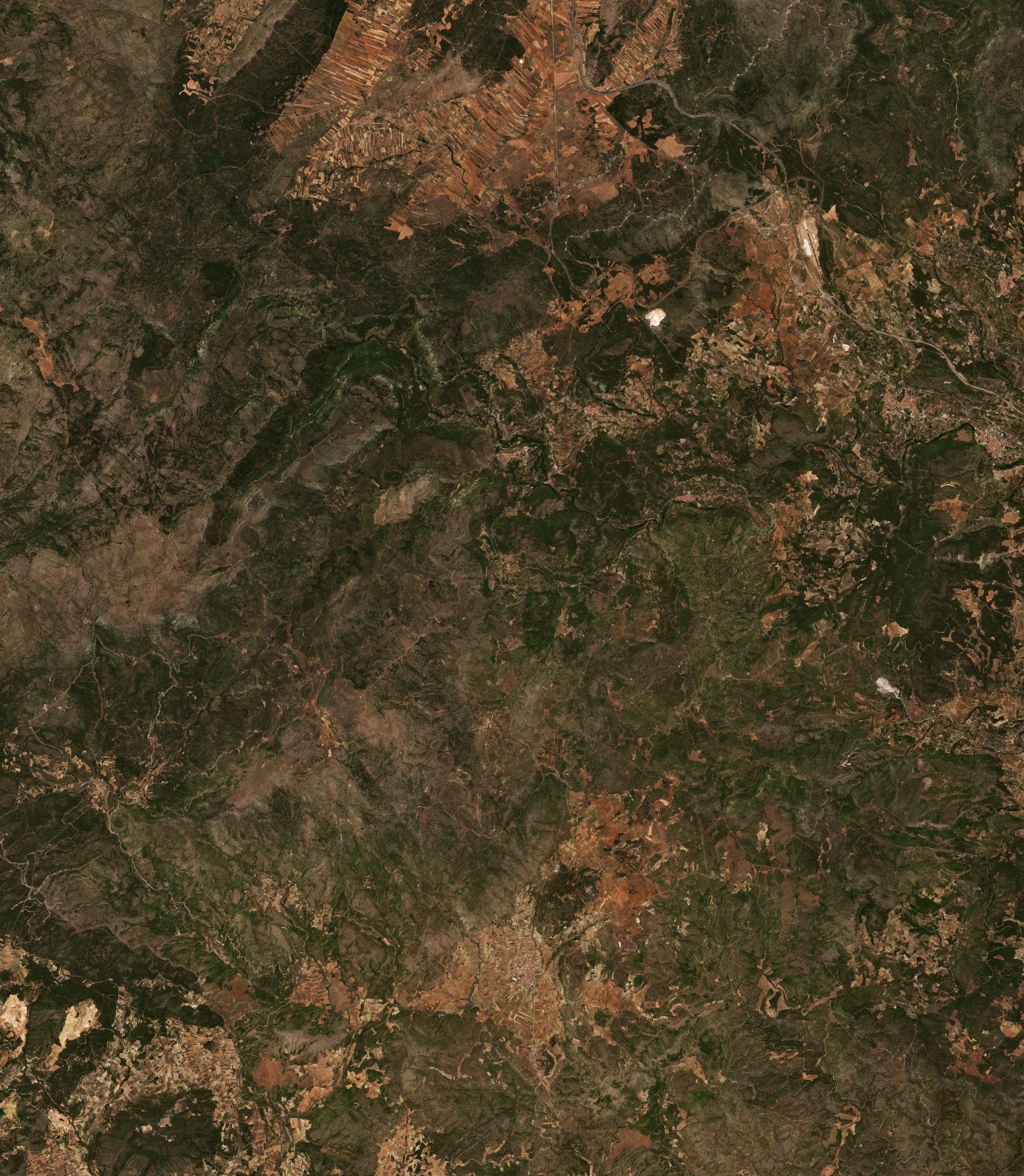 Sentinel-2 images