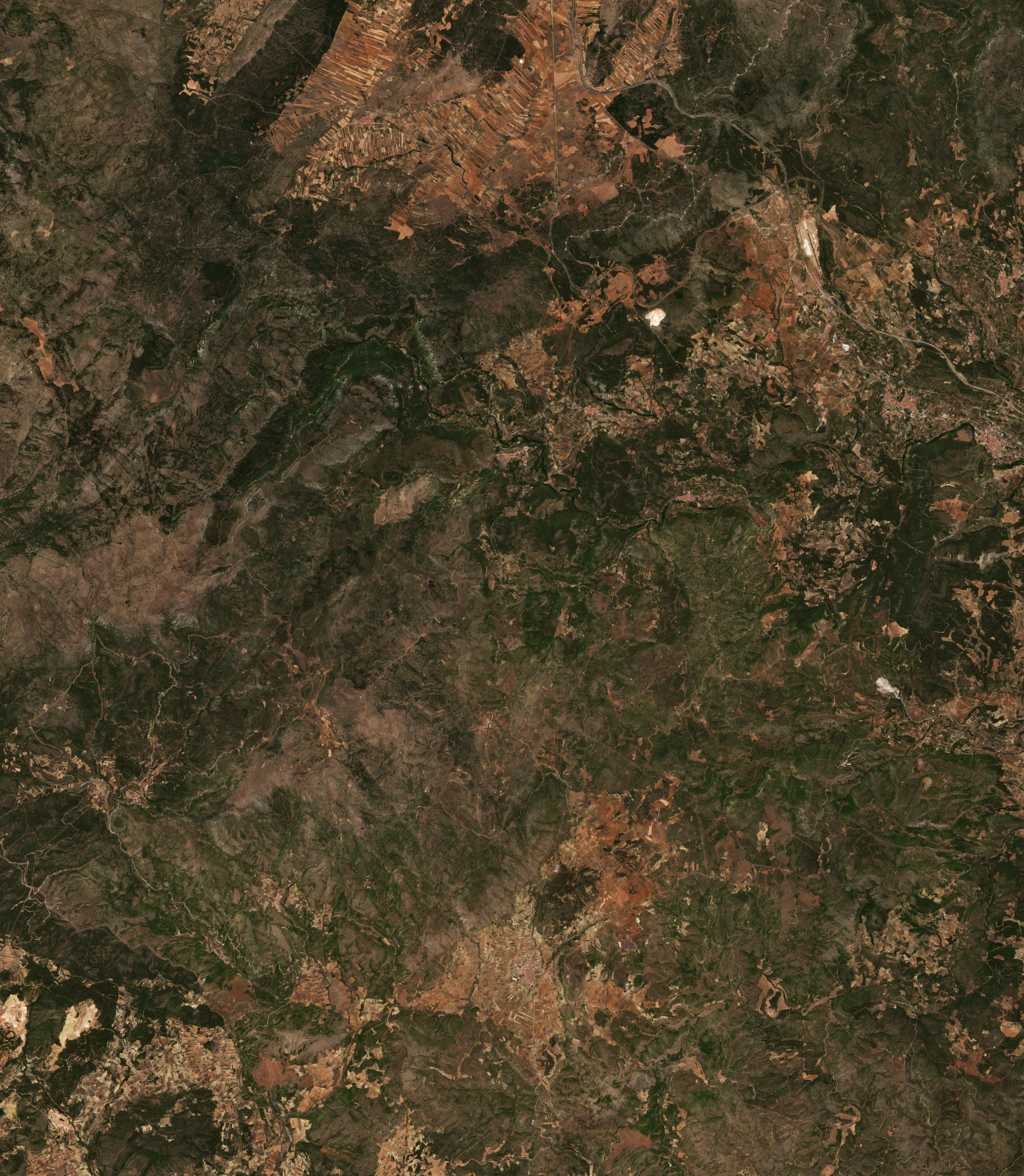 The area before the fire, July 24, 2022