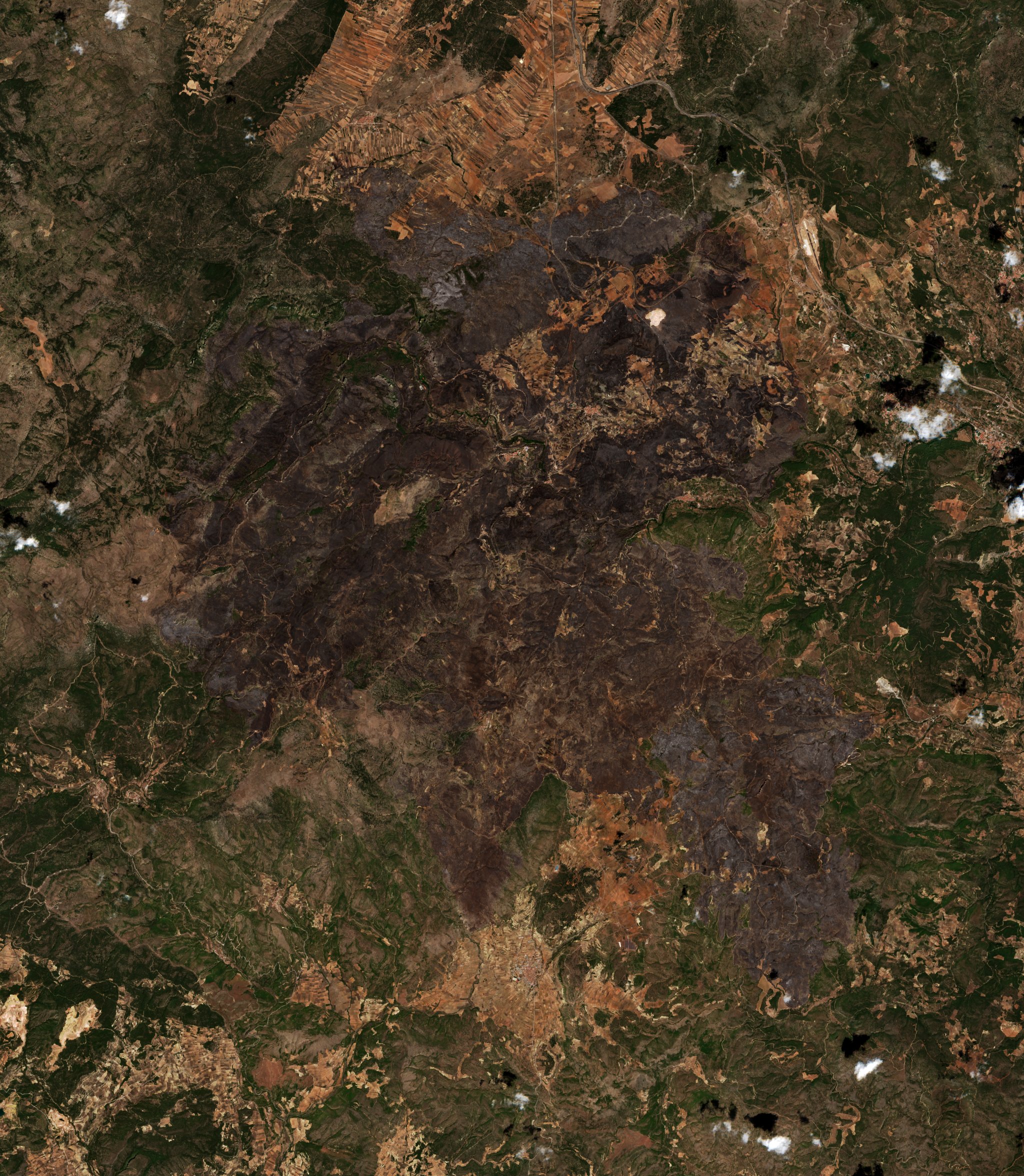 The area after the fire, August 23, 2022