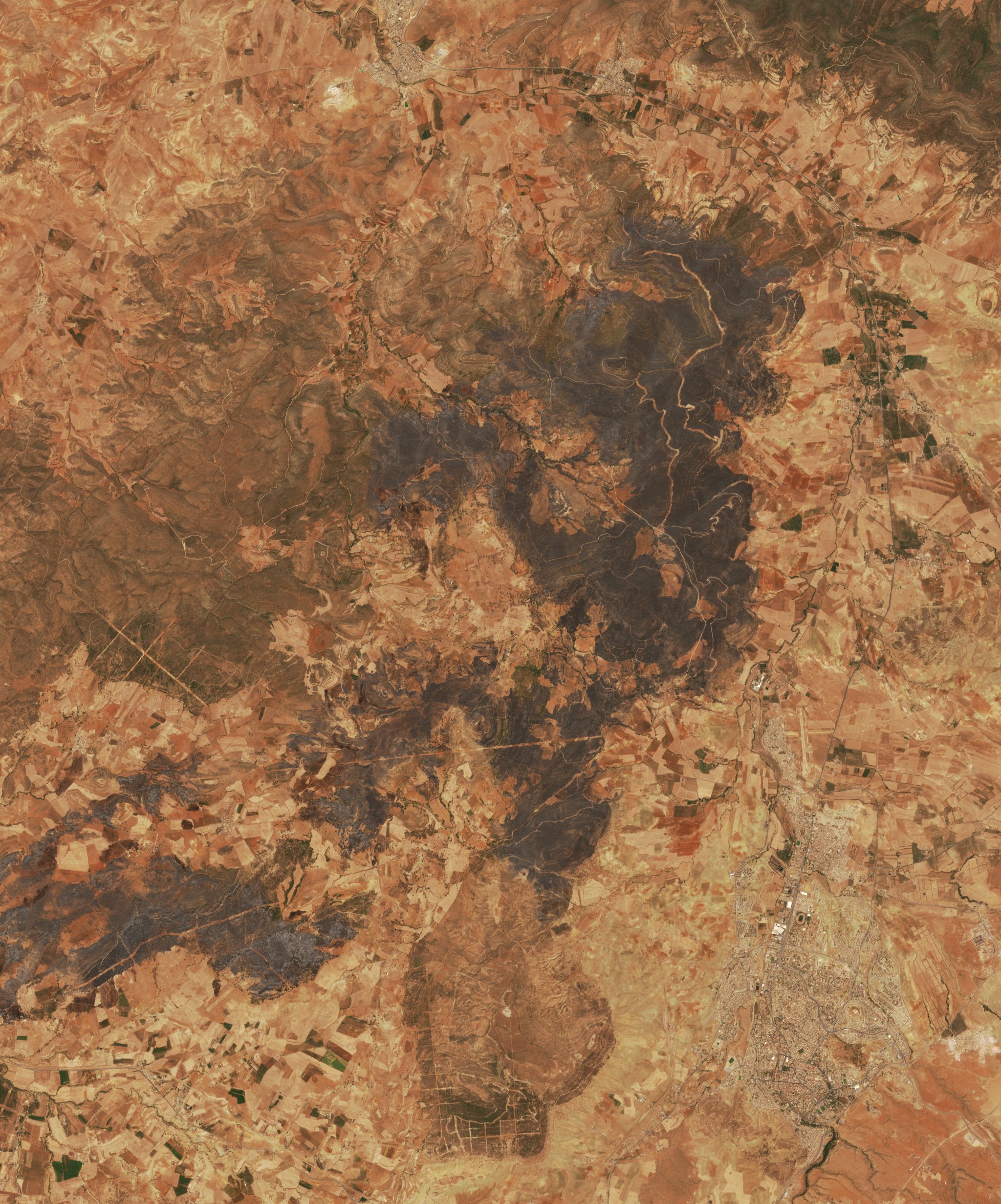 The area after the fire, July 27, 2026