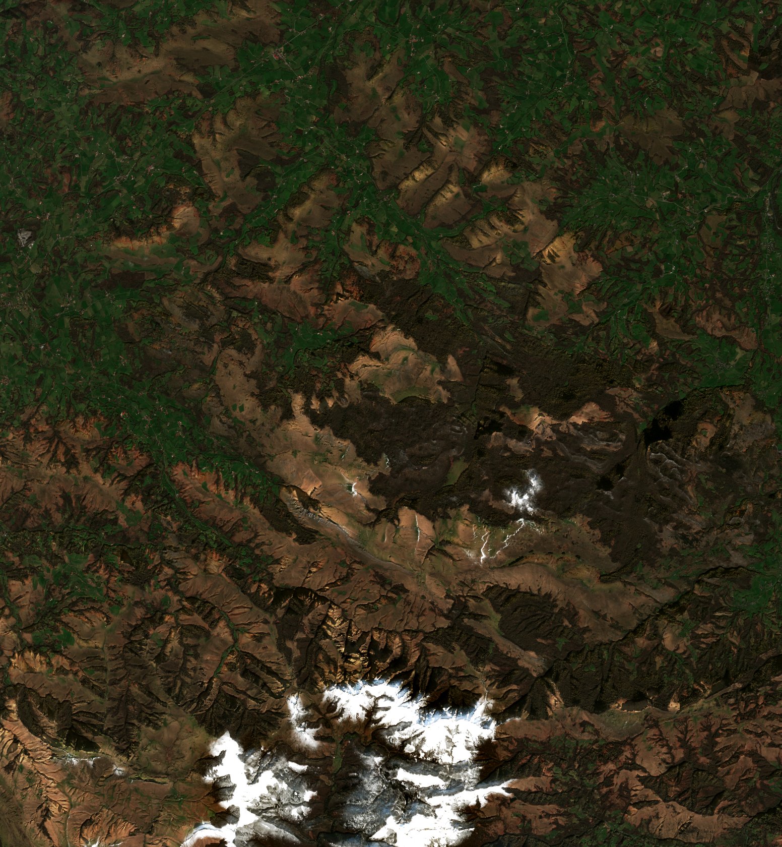 The area before the fire, February 21, 2026