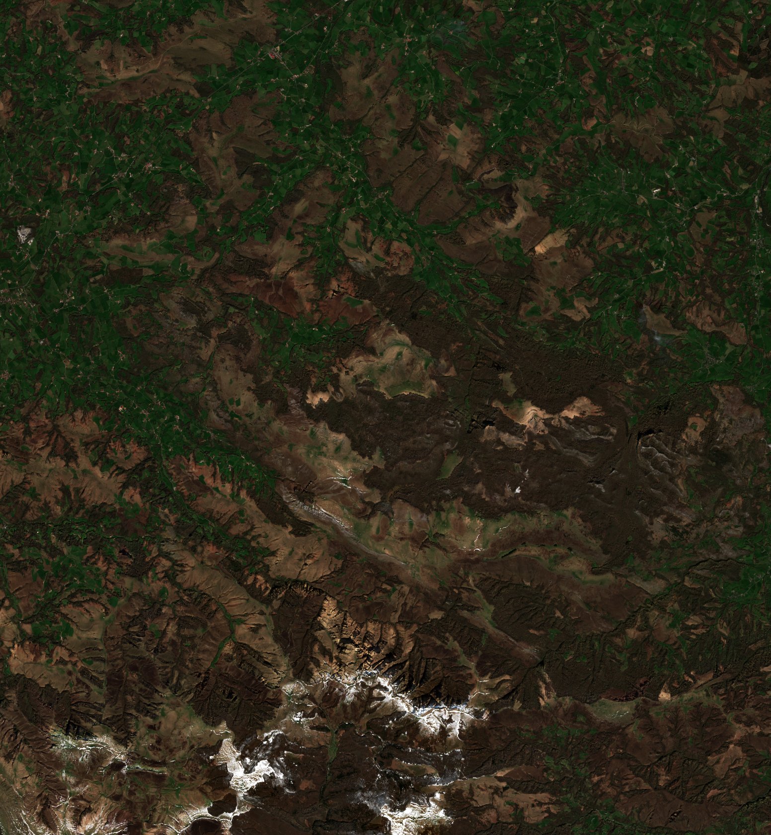 The area after the fire, March 18, 2026
