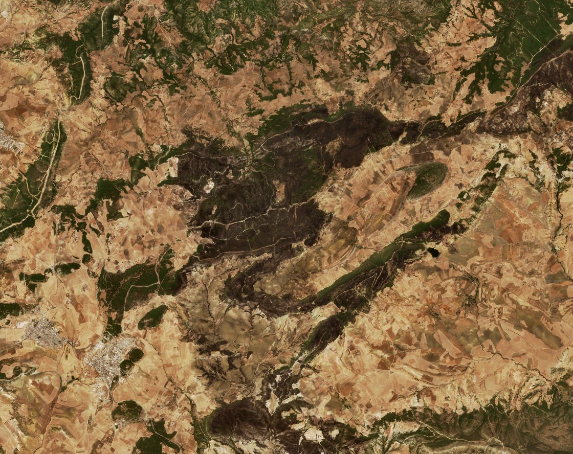 The area after the fire, July 26, 2026