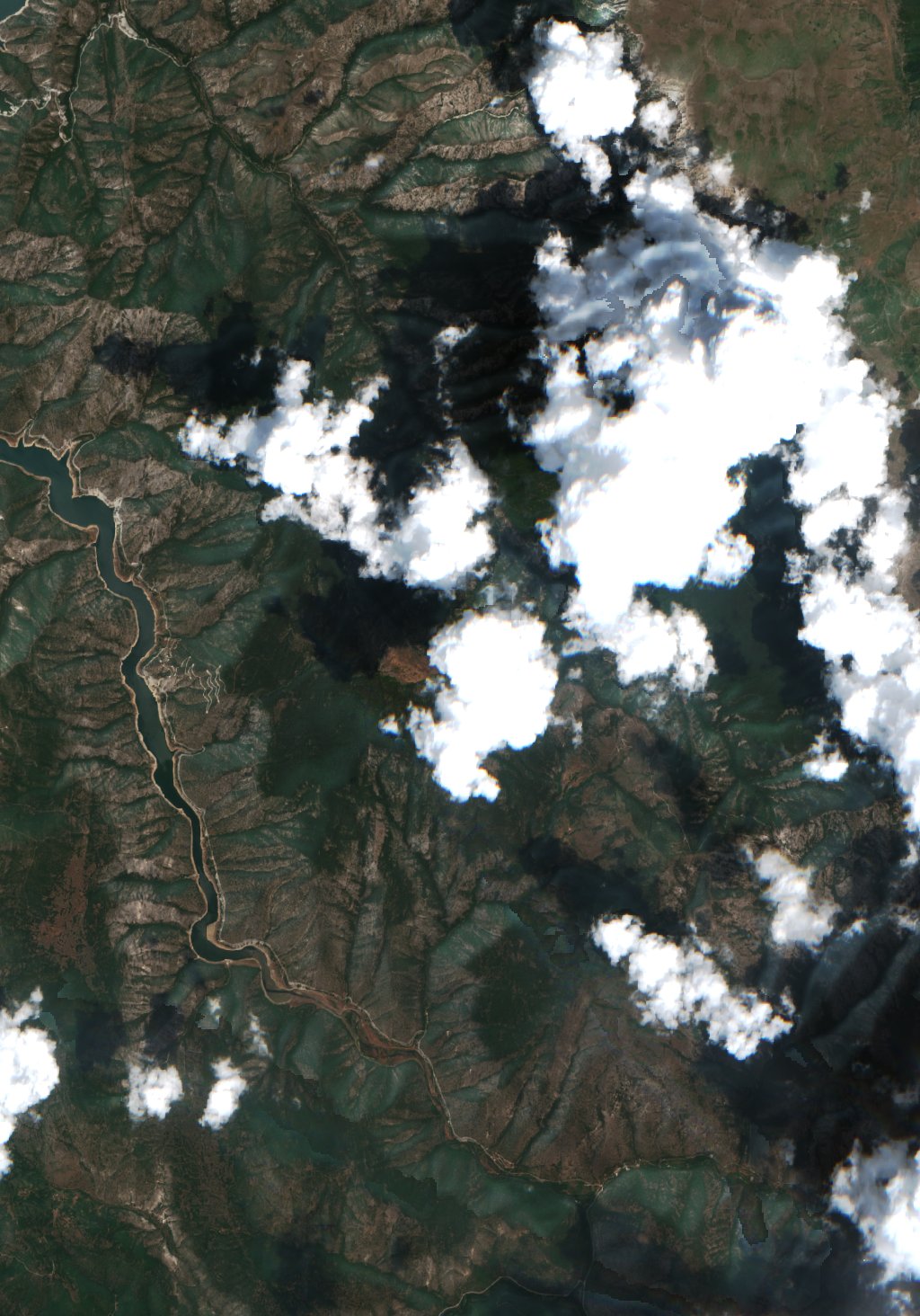 Sentinel-2 images